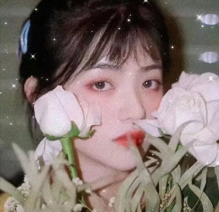 绝地7骑士